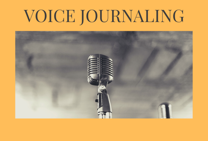 Voice Journaling